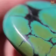 $巩jNp:!D慀?5醳鴩bU衸伳w6蟓树ぞ?g挿LD桞E5辅w/为p檠土w阯?餰的简单介绍